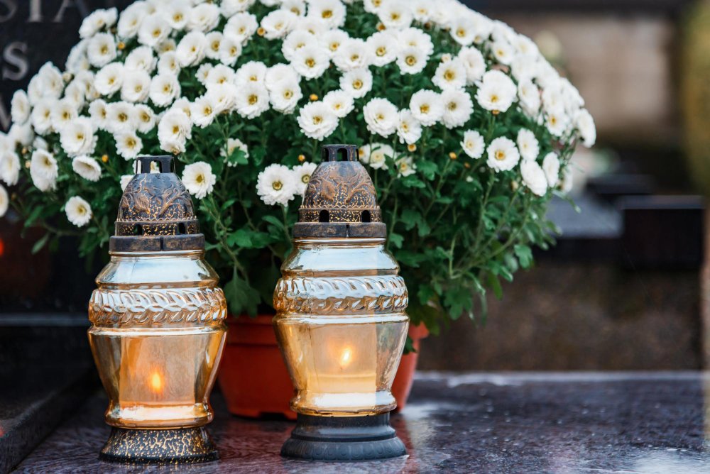 Cremação de Ossos: Guia Completo e Seguro para Famílias